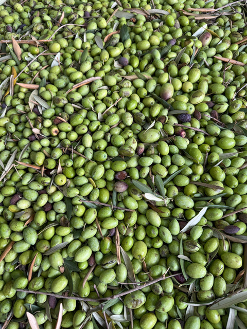 Olio extravergine di oliva siciliano